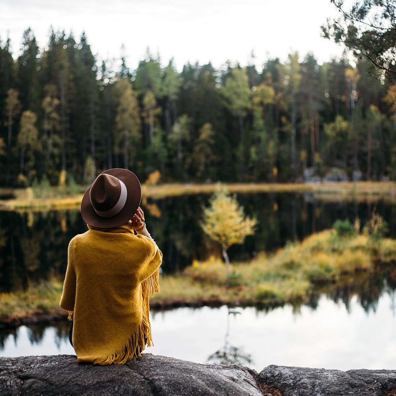 Nuuksio national park tours